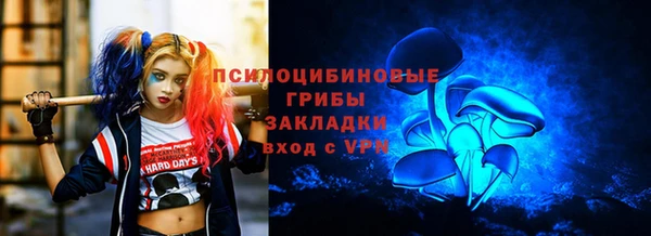 гашик Богданович
