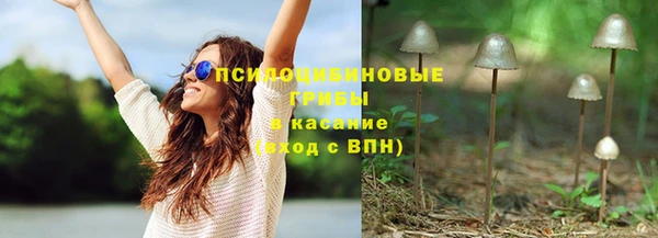 тгк Богородск