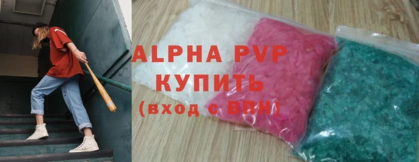 гашик Богданович