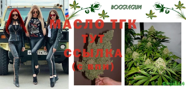 гашик Богданович