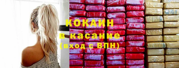 гашик Богданович