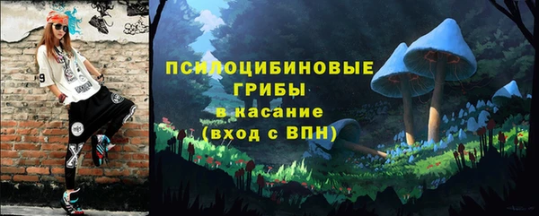 тгк Богородск