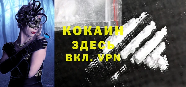 гашик Богданович