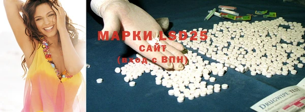 гашик Богданович