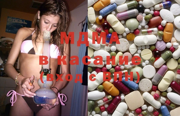 гашик Богданович