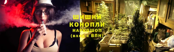 ALPHA PVP Богородицк