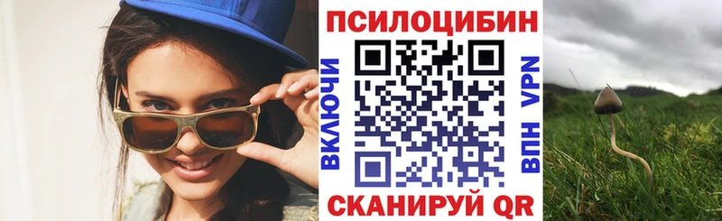 Псилоцибиновые грибы GOLDEN TEACHER  наркошоп  Городовиковск 