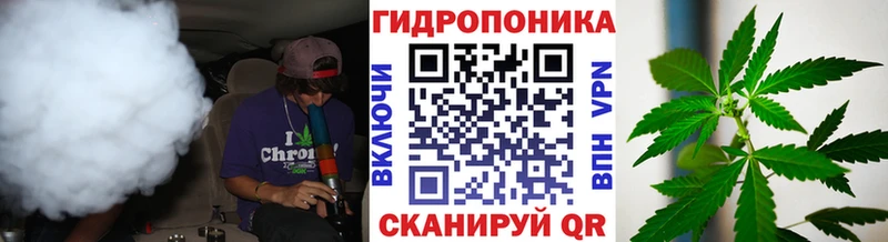 Бошки Шишки ГИДРОПОН  Городовиковск 